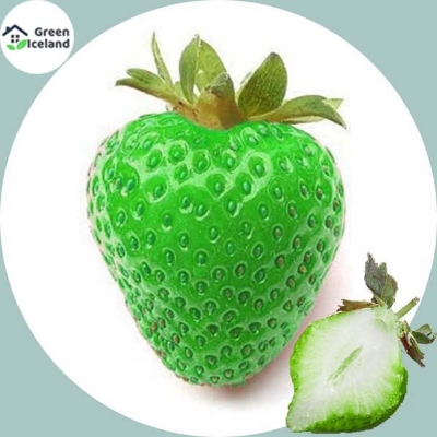 Picture of Giant 25 Pcs Green Strawberry Seeds - 25 Pcs SeedS