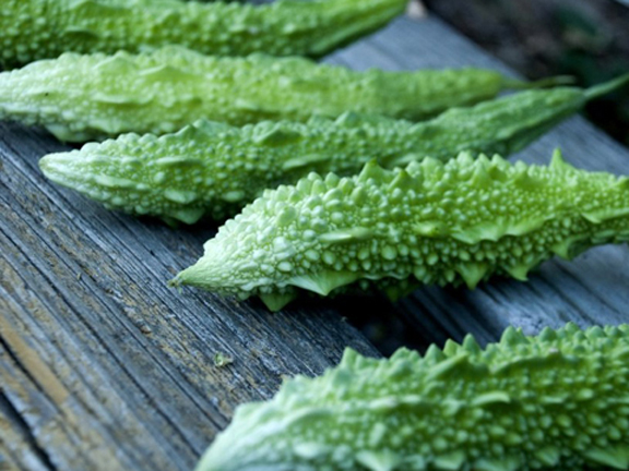 Picture of Balsom Pear Seeds bangladeshi - 10 pieces seedS