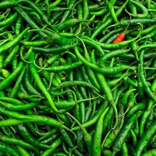 Picture of organic 35 Pcs Natural Green Chili SeedS 
