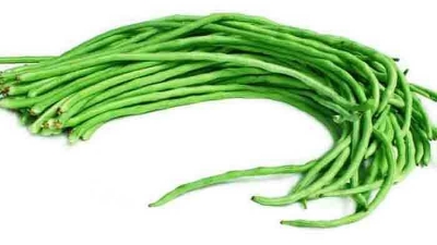 Picture of All Season Long Bean SeedS  - 15 Pcs SeedS