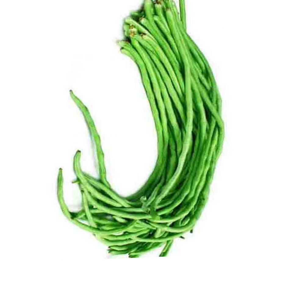 Picture of All Season Long Bean SeedS  - 15 Pcs SeedS
