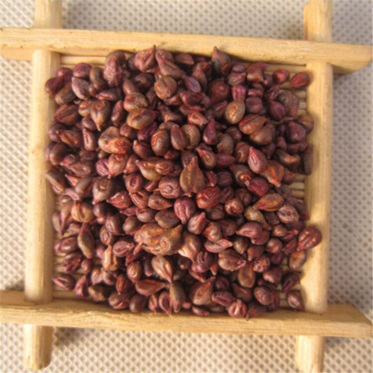 Picture of (Kashmiri Grape Seeds) 20pcs