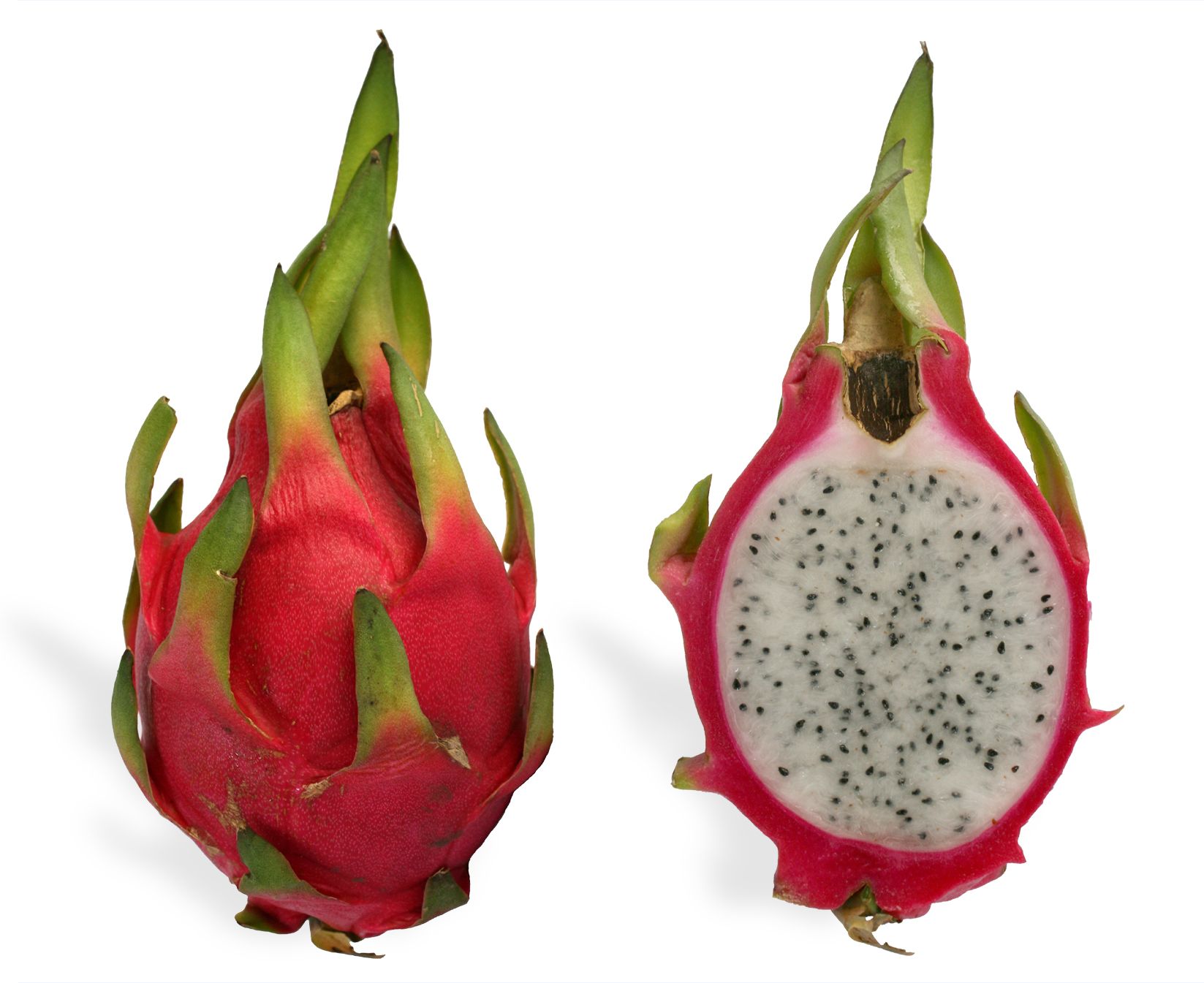 Picture of Dragon Pitaya Fruit SeedS - 15 Pcs SeedS