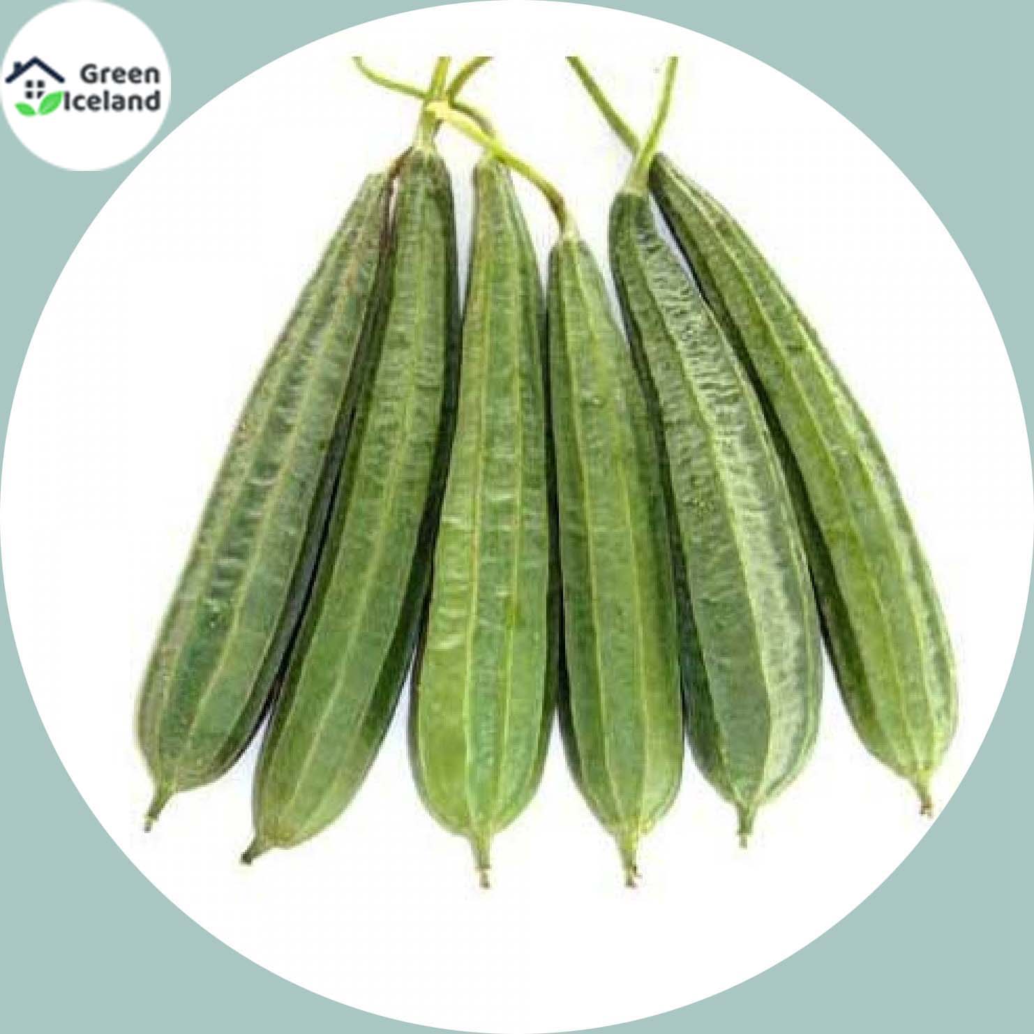 Picture of 10 Pcs Global Jhinga / Shrimp Seeds