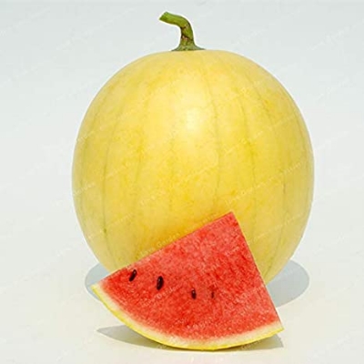 Picture of 10 Pcs Small Yellow watermelon Bonsai SeedS