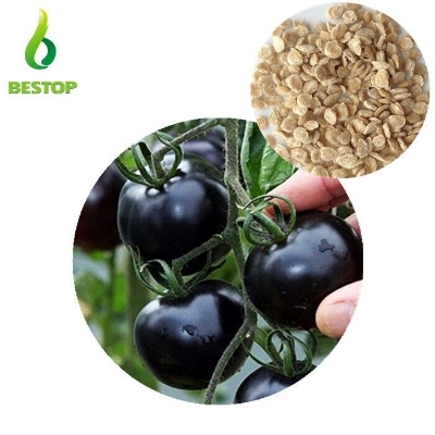 Picture of 25 Pcs Global Black Cherry Tomato SeedS