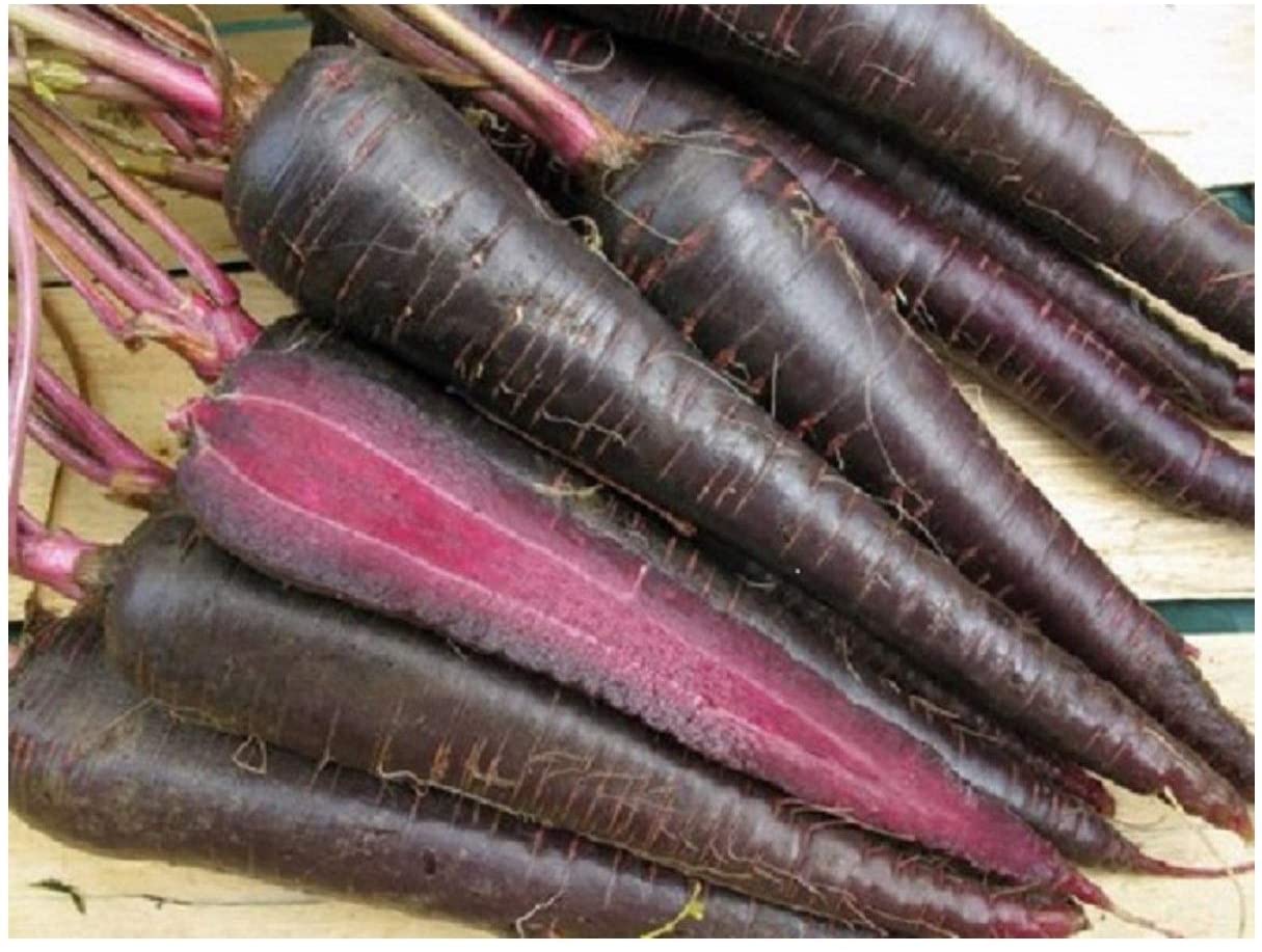 Picture of Organic Black Carrot SeedS  - 30 Pcs SeedS