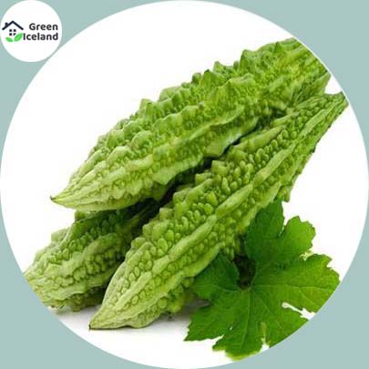 Picture of Balsom / Bitter Seeds  - 15 Pcs SeedS