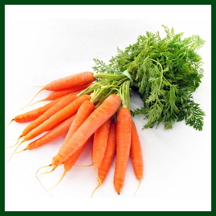 Picture of All Season Carrot SeedS  - 20 Pcs SeedS