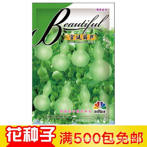 Picture of Intake Packet Chinese Ornamental Bottle Gourd SeedS - 5 pcs  (Imported China Seeds)