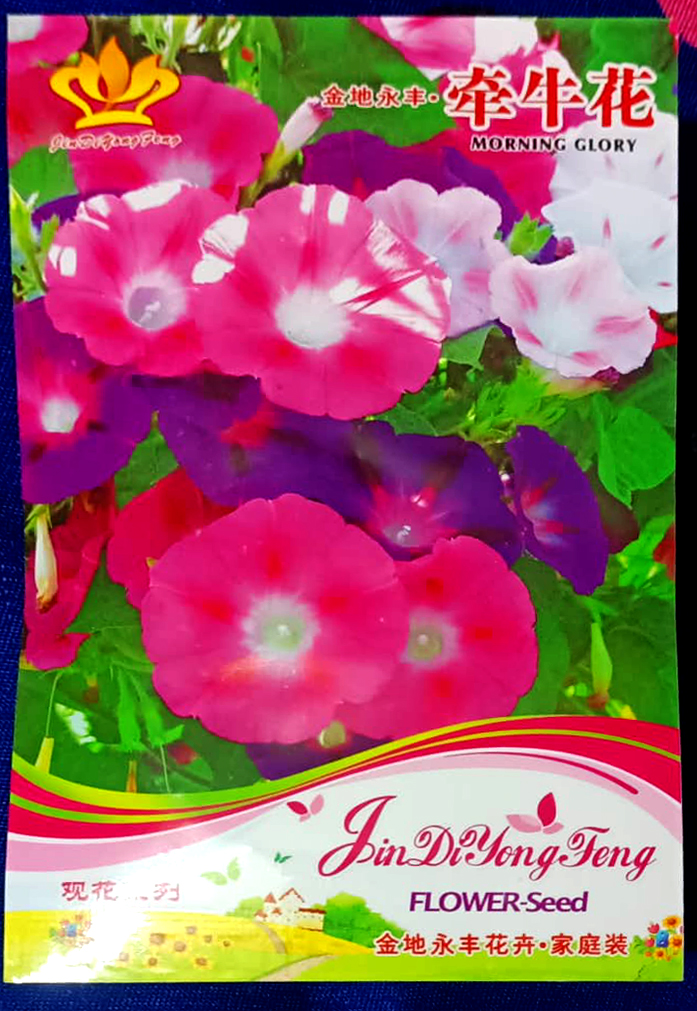 Picture of All Season Multicolor Global Morning Glory Flower Seeds - 30 pcs