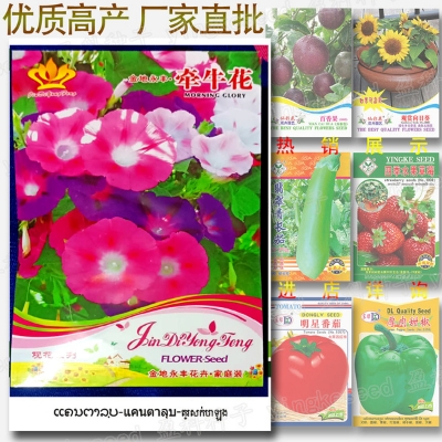 Picture of All Season Multicolor Global Morning Glory Flower Seeds - 30 pcs