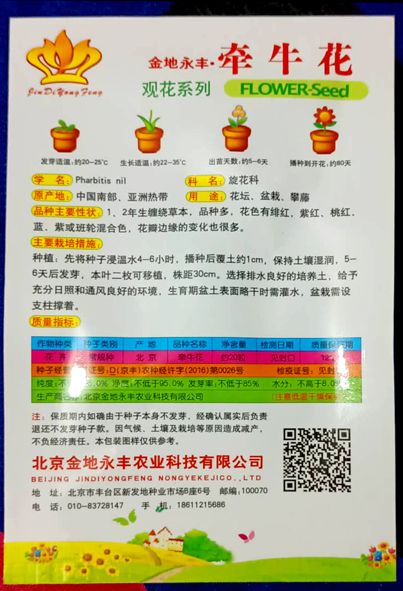 Picture of All Season Multicolor Global Morning Glory Flower Seeds - 30 pcs