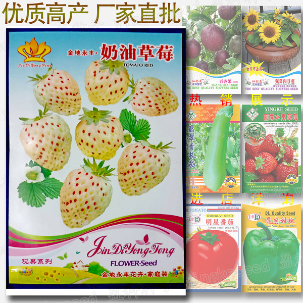 Picture of Sweet Global White Strawberry Seeds - 100+pcs (intact packet)