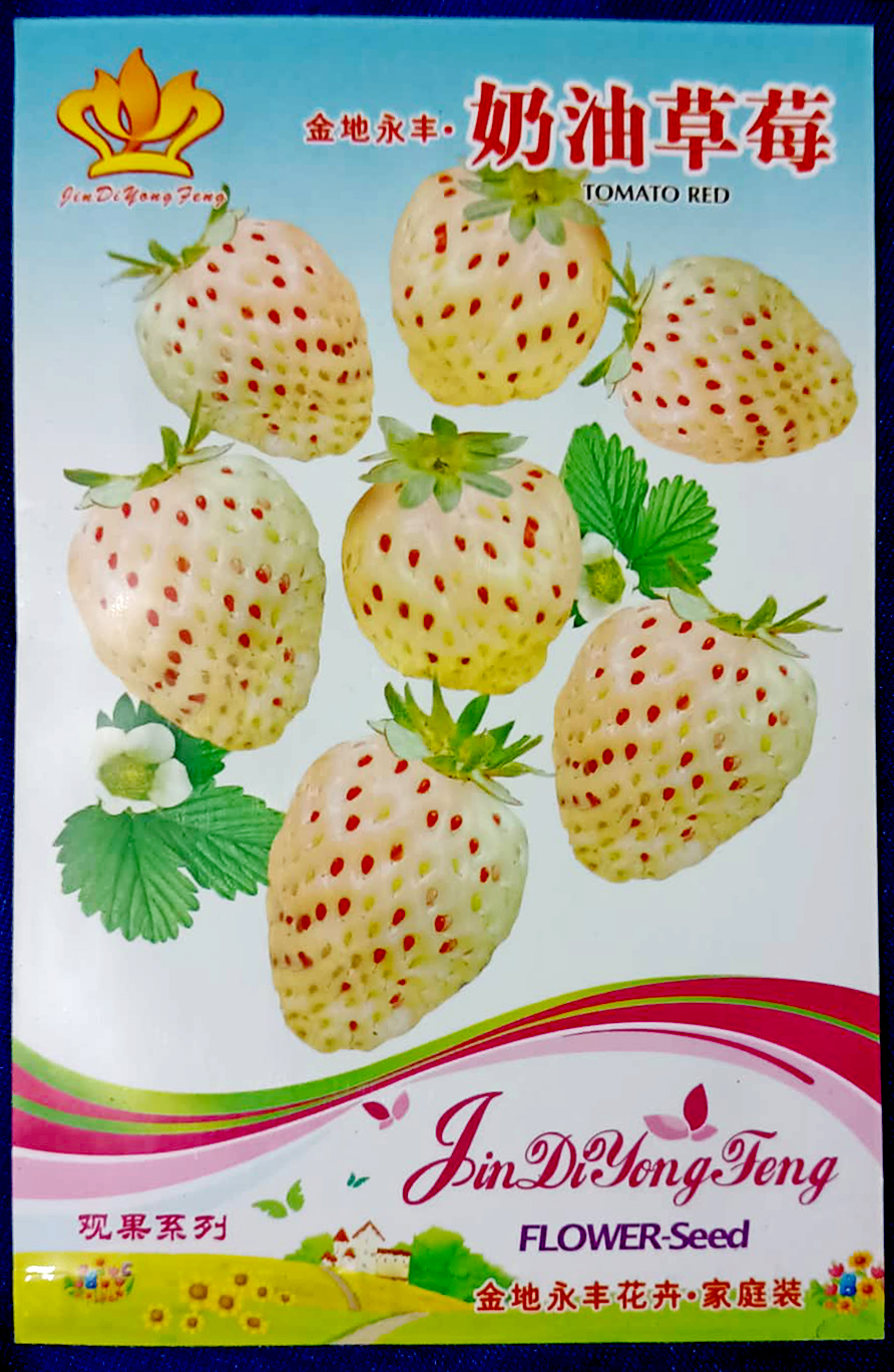 Picture of Sweet Global White Strawberry Seeds - 100+pcs (intact packet)