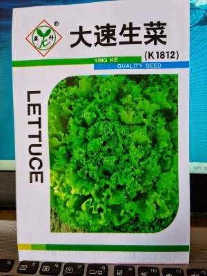 Picture of Lettuce Seeds 20 Grains All Seasons, fast-growing China Global Seeds
