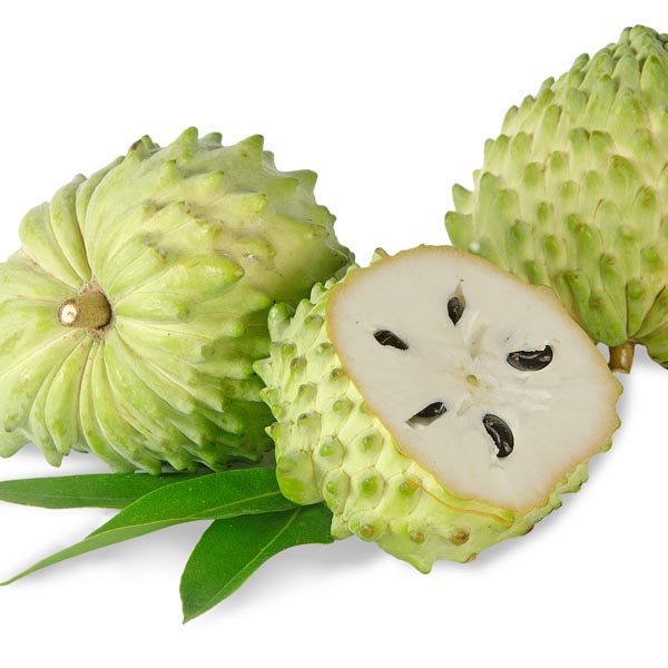 Picture of All Season Suger Free Sharifa SeedS  - 10 Pcs SeedS