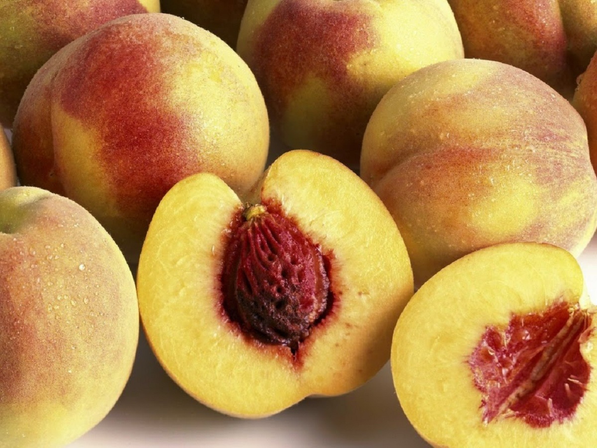 Picture of Global Peach Tree SeedS -  3 Pcs SeedS