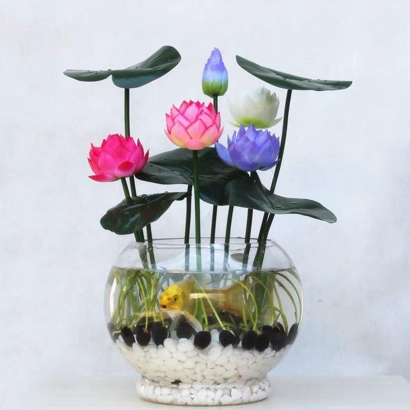 Picture of Lotus Flower Bonsai For Summer Real Bowl Lotus Pots Bonsai Seeds - 5 pcs