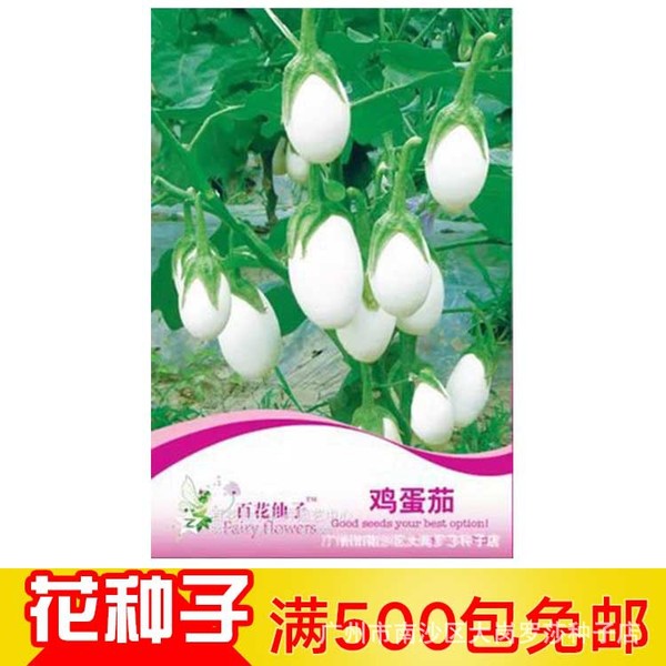 Picture of Global All Season White Eggplant Seeds (Intake Imported Packet seeds) - 30pcS