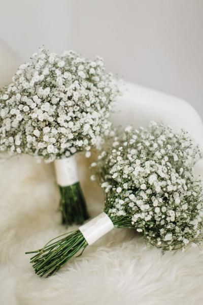 Picture of 70 Pcs All Season Gypsophila Flower Seeds