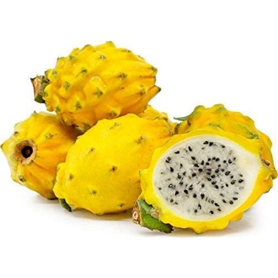 Picture of 15 Pcs All Season yellow Dragon Pitaya Fruit Seeds - 15 Pcs Seeds