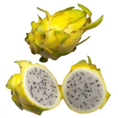 Picture of 15 Pcs All Season yellow Dragon Pitaya Fruit Seeds - 15 Pcs Seeds
