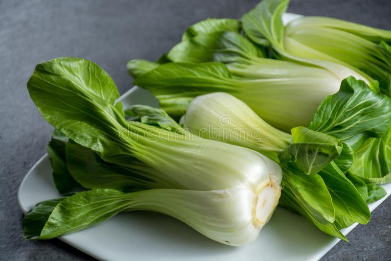 Picture of All Season Chinese Pak Choi 25+ Seeds