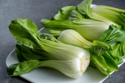 Picture of All Season Chinese Pak Choi 25+ Seeds