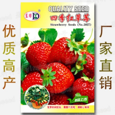 Picture of ``Red Strawberry Climbing Strawberry Four Season Fruits Organic- 100 PcS SeedS