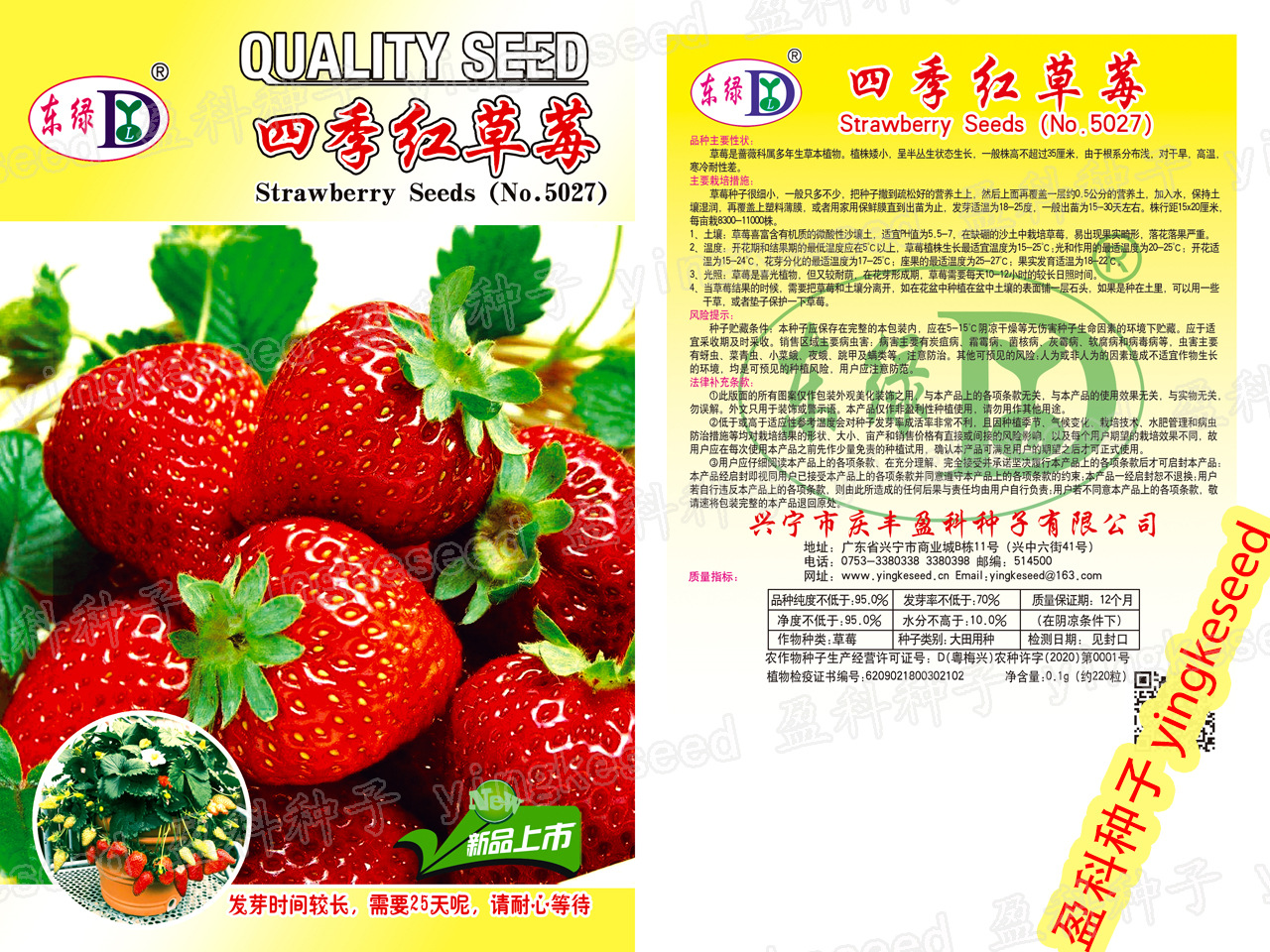 Picture of ``Red Strawberry Climbing Strawberry Four Season Fruits Organic- 100 PcS SeedS