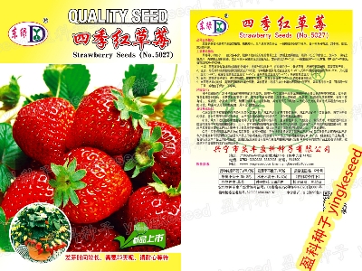 Picture of ``Red Strawberry Climbing Strawberry Four Season Fruits Organic- 100 PcS SeedS
