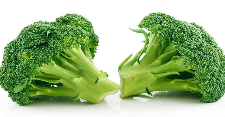 Picture of 20 Pcs Global Broccoli SeedS