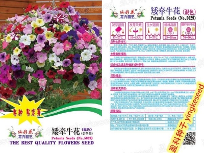 Picture of Multicolor Petunia SeedS Intake Packet - 400pcs Seeds (China Global Seeds)