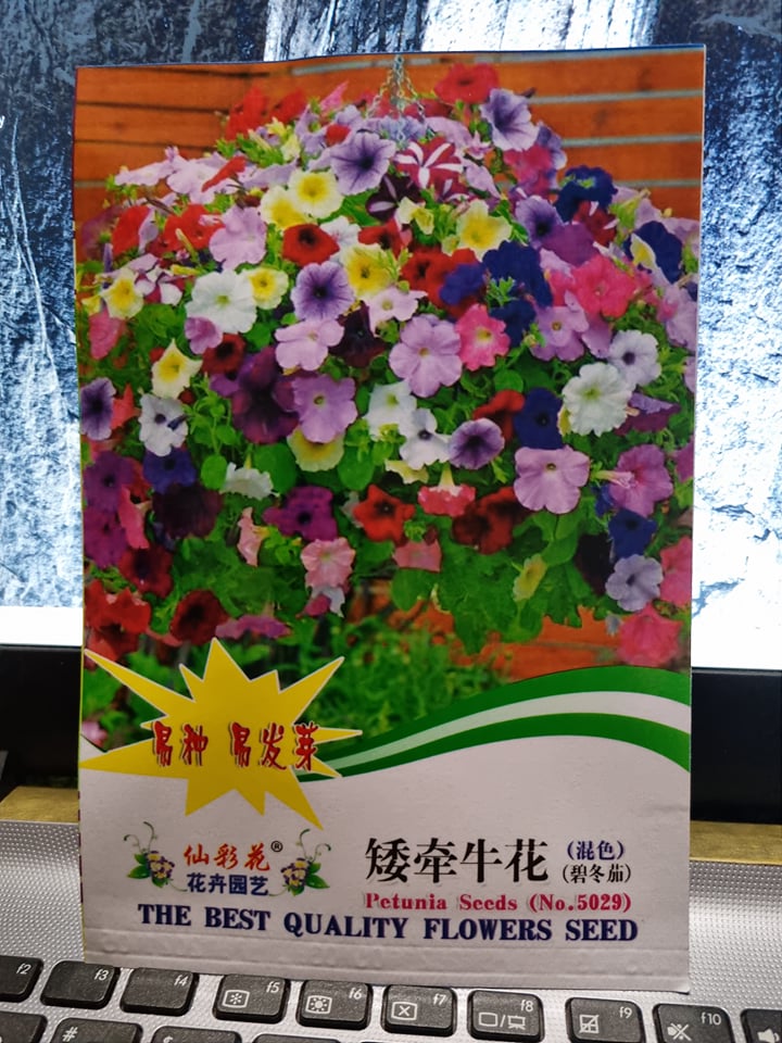 Picture of Multicolor Petunia SeedS Intake Packet - 400pcs Seeds (China Global Seeds)