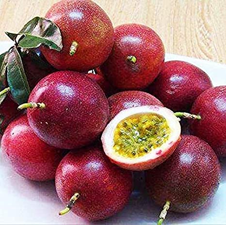 Picture of All Season Red Sweet Passion Fruit/ Anarkoli fol Seeds