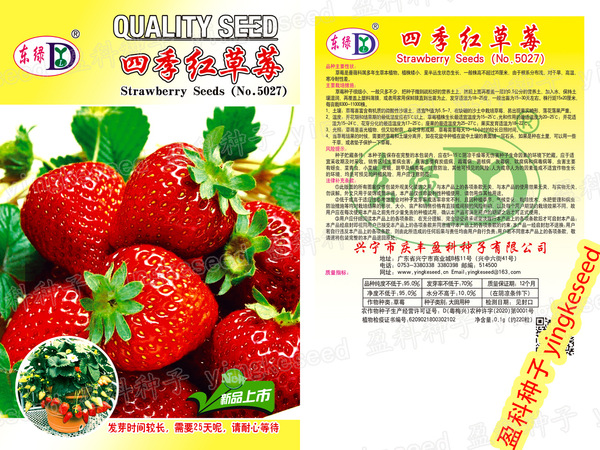 Picture of Global Intact Packet Four Seasons Global Red Strawberry Fruit seeds - 200 pcs( )