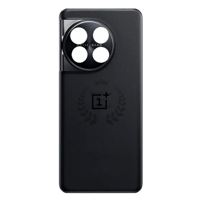 Picture of Replacement Backshell Glass Panel for OnePlus 11 Battery Back Door Housing