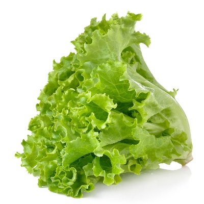 Picture of Global Lettuce Seeds Salad Vegetables Four Seasons Fast-Growing Vegetable Seeds 2000 grain Seeds Intec Packet