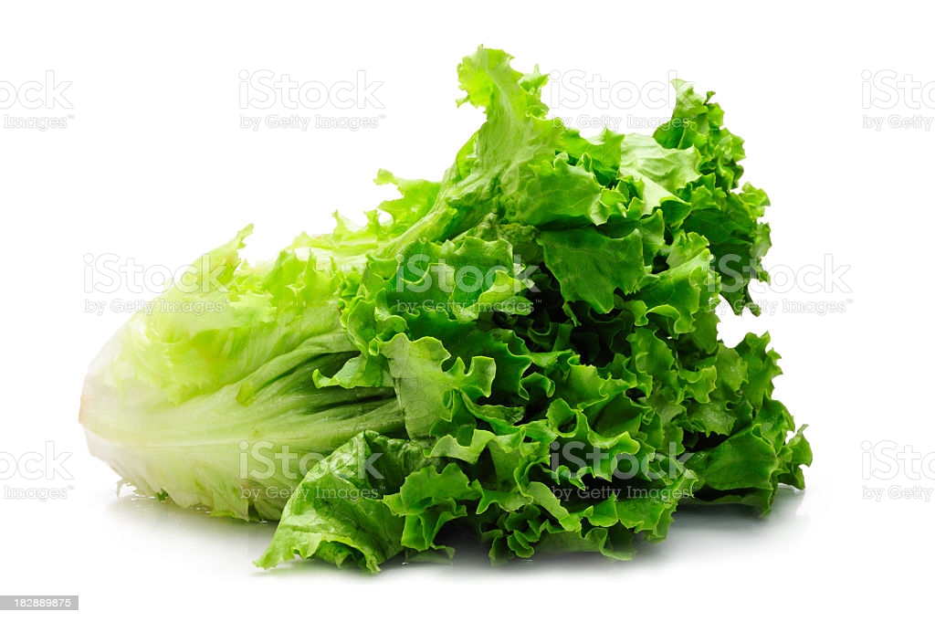 Picture of Global Lettuce Seeds Salad Vegetables Four Seasons Fast-Growing Vegetable Seeds 2000 grain Seeds Intec Packet