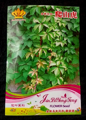 Picture of Climbing Green Creeper Seeds - 30 pcs ( Packet)