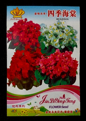 Picture of Mix Color Begonia Flower Seeds - 100+ pcs (Imported Packet Seeds)