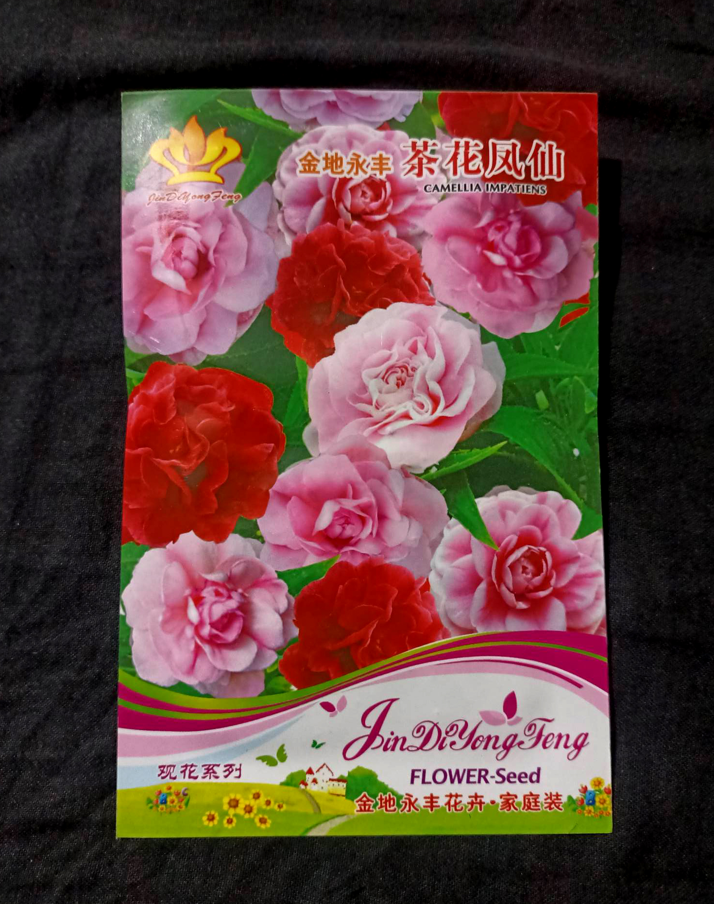 Picture of Global All Season Camelia Flower Seeds - 50+ pcs Imported 