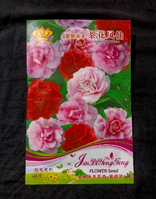 Picture of Global All Season Camelia Flower Seeds - 50+ pcs Imported 