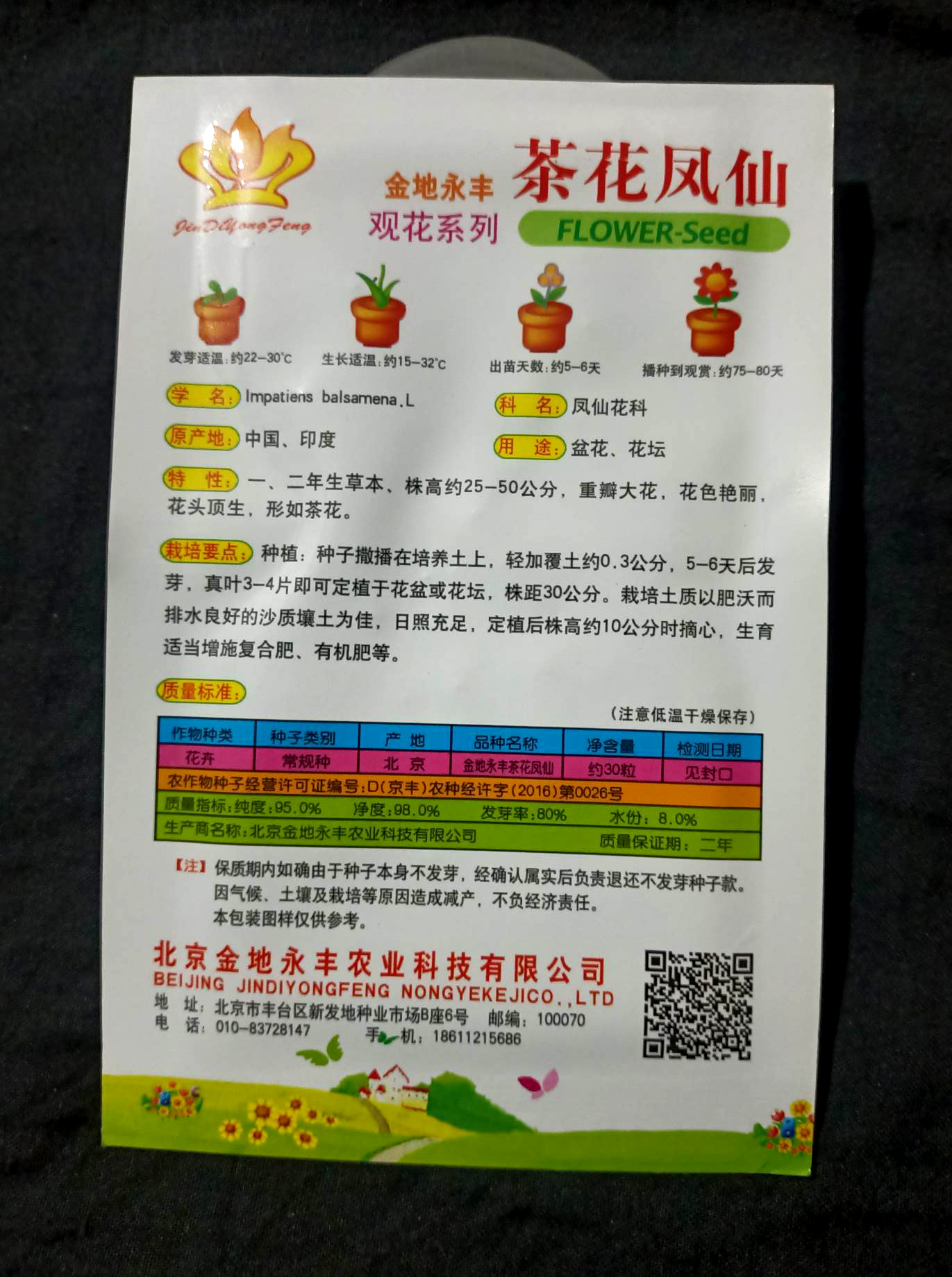 Picture of Global All Season Camelia Flower Seeds - 50+ pcs Imported 