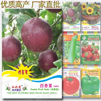 Picture of Global Passion Fruit Seeds - 10 pcs Imported Pack