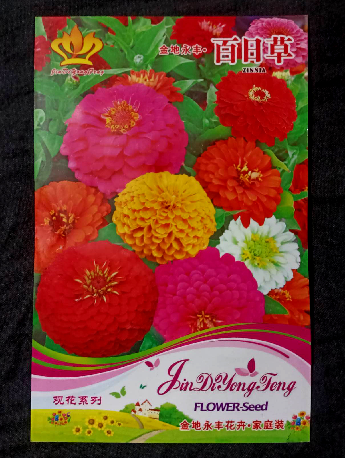 Picture of Global GiantMix Color Zinnia Flower Seeds - 20+ pcs( Imported )