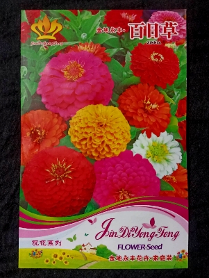 Picture of Global GiantMix Color Zinnia Flower Seeds - 20+ pcs( Imported )
