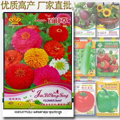 Picture of Global GiantMix Color Zinnia Flower Seeds - 20+ pcs( Imported )