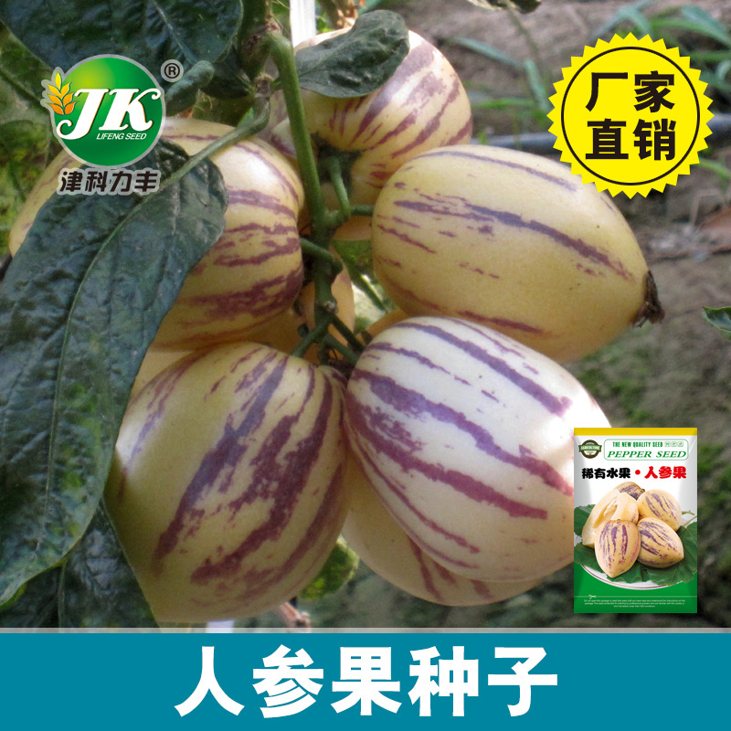 Picture of Imported Pepino Melon Fruit Seeds - 50+ pcs Seeds 